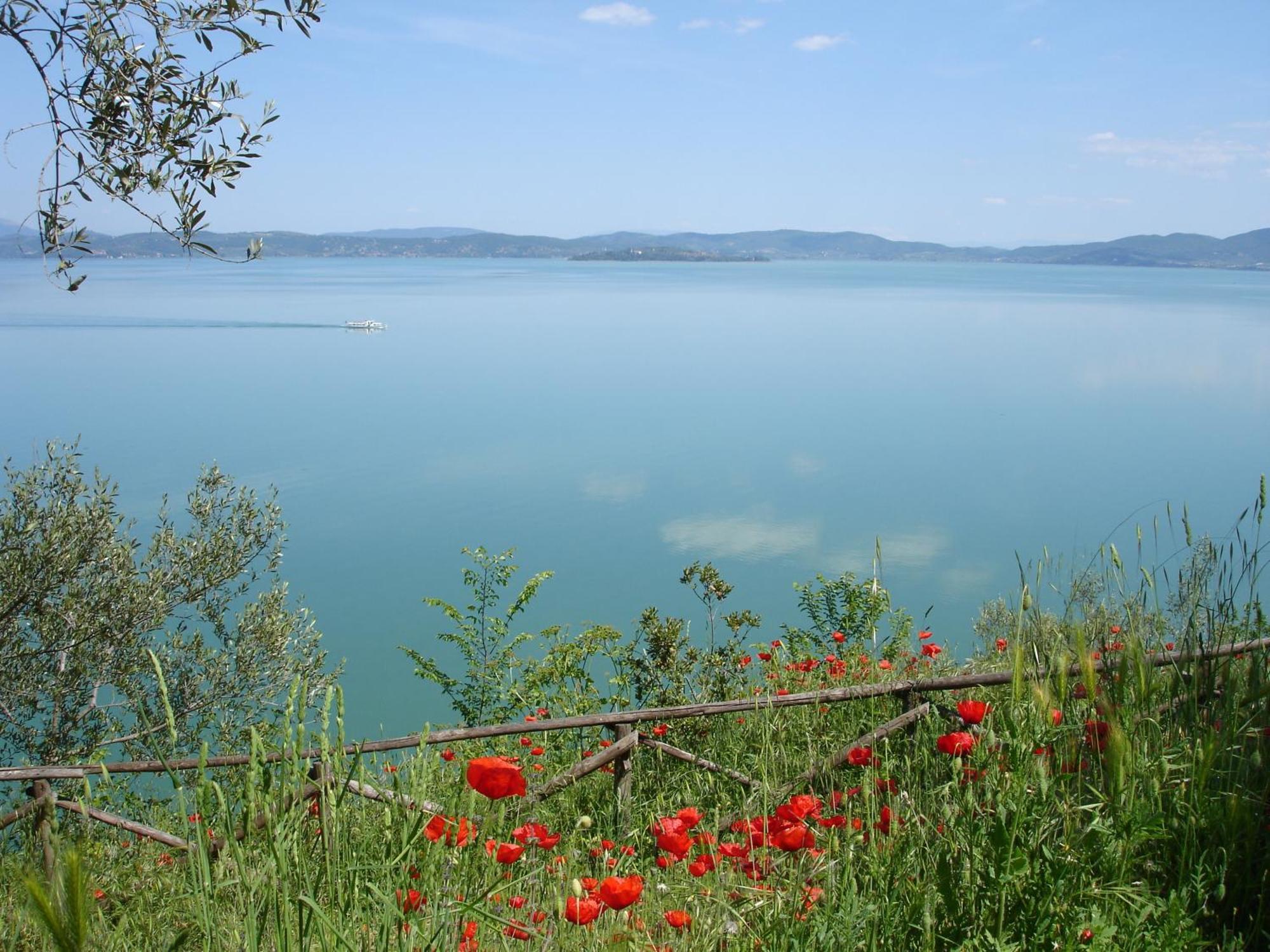 Hotel Aganoor Castiglione del Lago Buitenkant foto