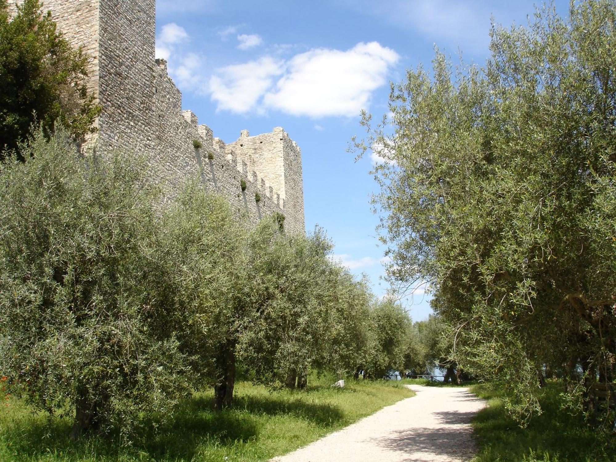 Hotel Aganoor Castiglione del Lago Buitenkant foto